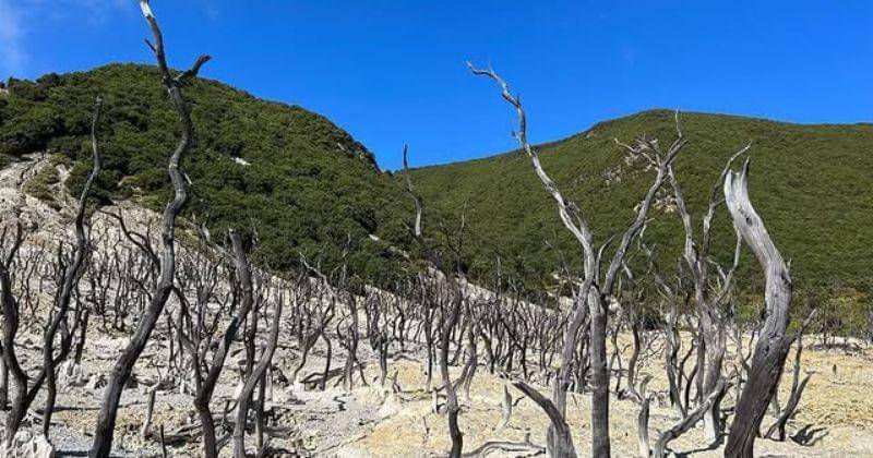 Instagram.com/Fanidamayanti